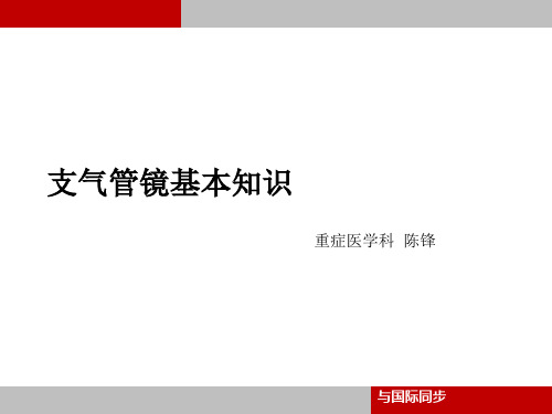 支气管镜_培训(PPT44页)