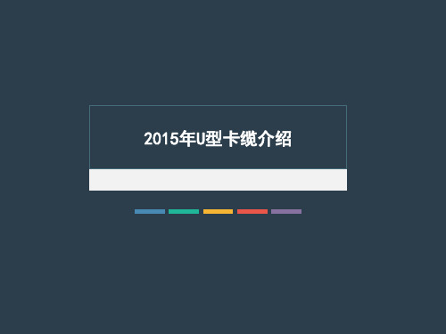 2015年U型卡缆介绍