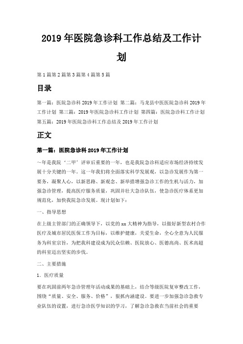最新-2019年医院急诊科工作总结及工作计划 精品