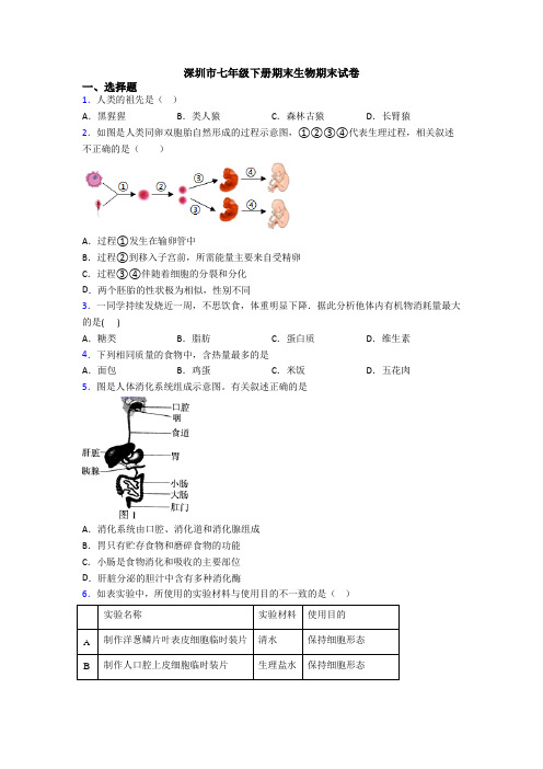 深圳市七年级下册期末生物期末试卷