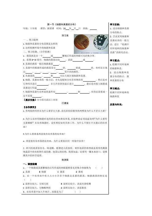 第四-第六单元导学稿