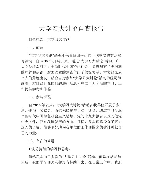 大学习大讨论自查报告