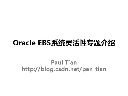 Oracle EBS系统灵活性专题介绍-分享版