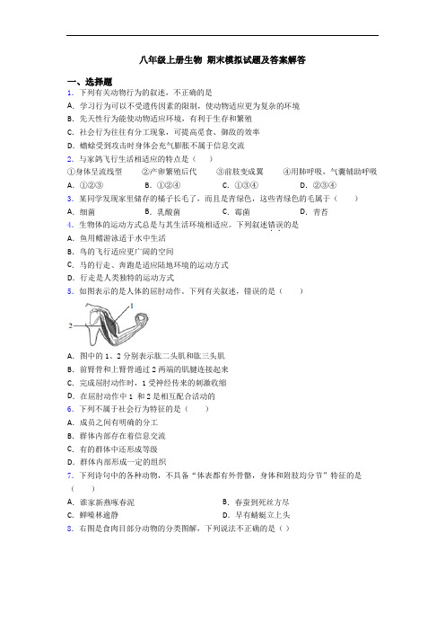 八年级上册生物 期末模拟试题及答案解答