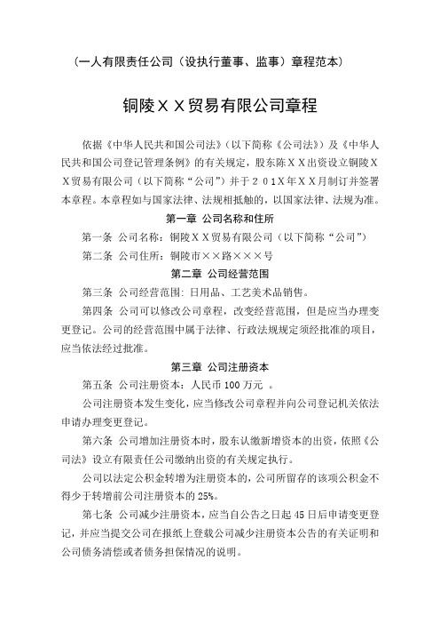 一人有限责任公司设执行董事监事章程范本