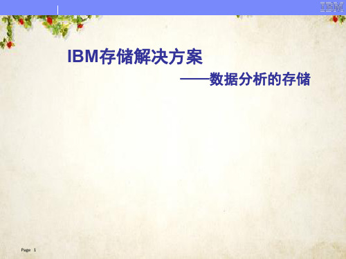 IBM存储解决方案—数据分析的存储(PPT 41页)