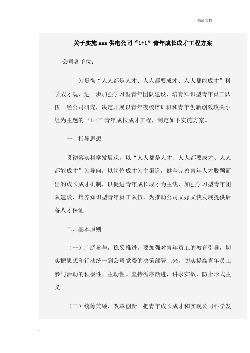 企业青年成长成才实施方案