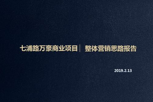 2019上海市七浦路万豪营销思路报告终36p-37页精选文档