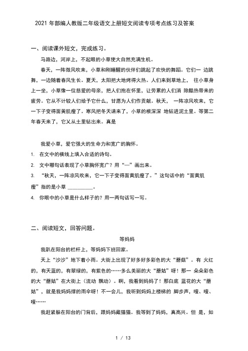 2021年部编人教版二年级语文上册短文阅读专项考点练习及答案