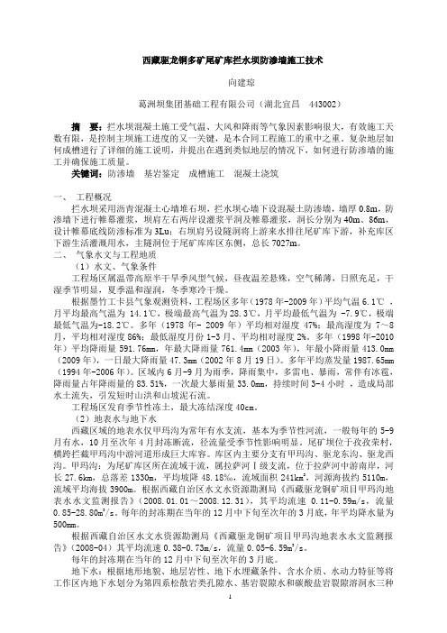 西藏驱龙铜多拦水坝防渗墙施工技术