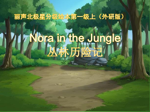 英语绘本阅读《Nora in the jungle》课件