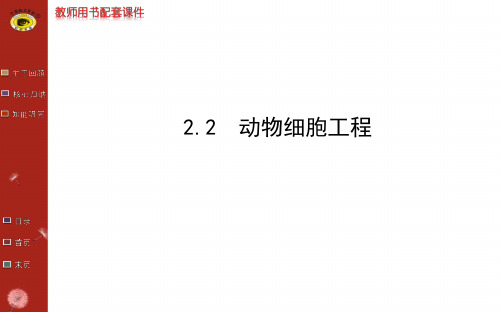 高中生物选修3 专题2 2.2动物细胞工程