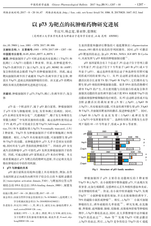 以p73为靶点的抗肿瘤药物研究进展