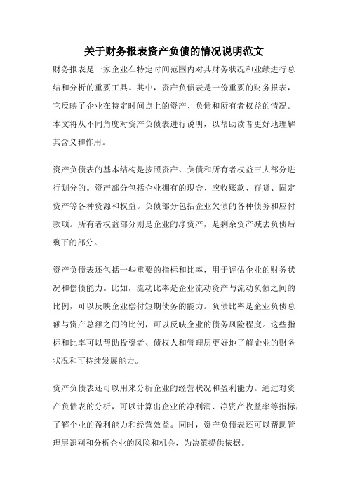 关于财务报表资产负债的情况说明范文