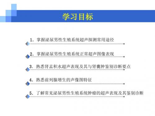 泌尿系统及男性生殖系超声诊断