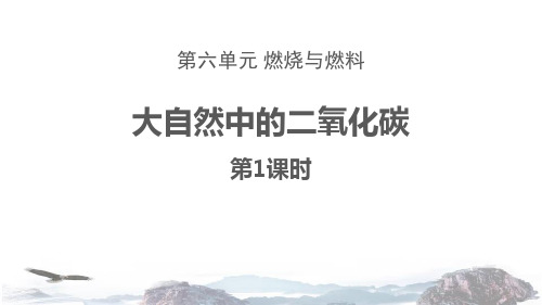 《大自然中的二氧化碳》燃烧与燃料鲁教版九年级化学上册PPT课件(第1课时)