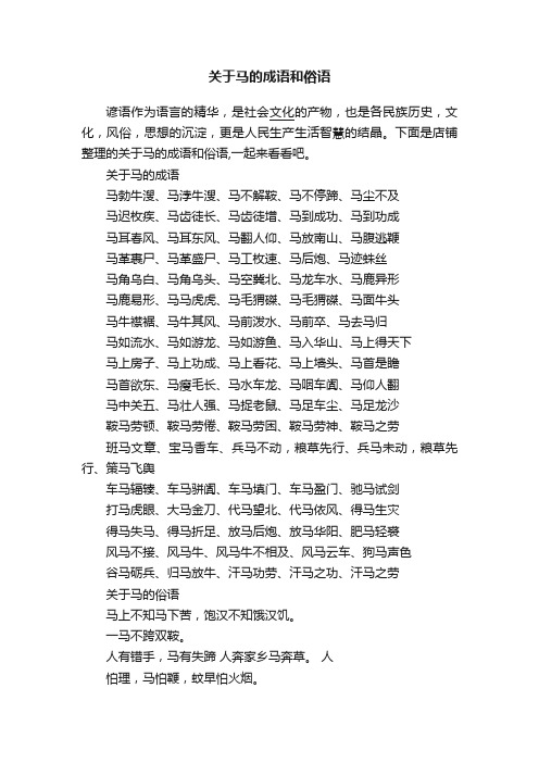 关于马的成语和俗语