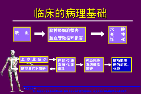 脑梗死的分型分期治疗课件