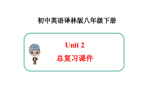 8BUnit2总复习课件