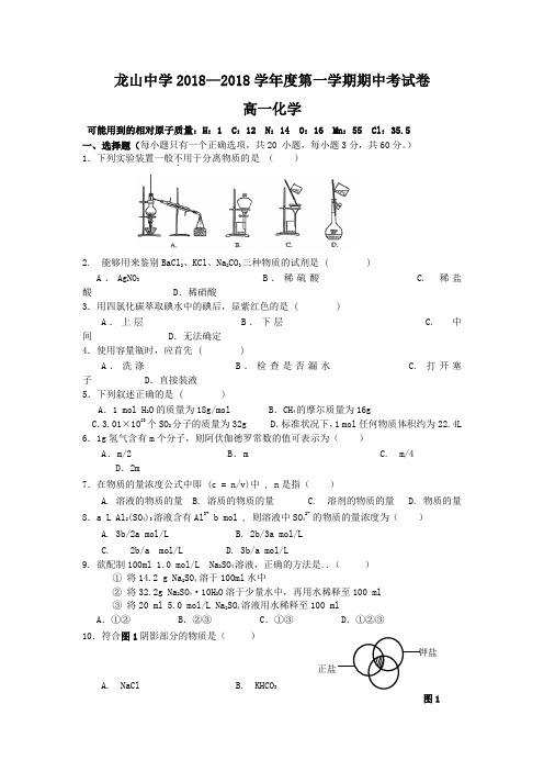 高一化学-广东省龙山中学2018学年高一第一学期期中考