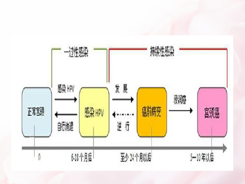 宫颈CIN护理要点-PPT文档