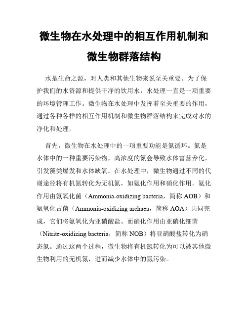 微生物在水处理中的相互作用机制和微生物群落结构