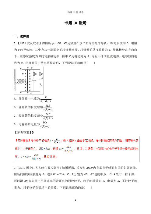 【推荐】2019年高考物理试题分项解析专题10磁场第01期.doc