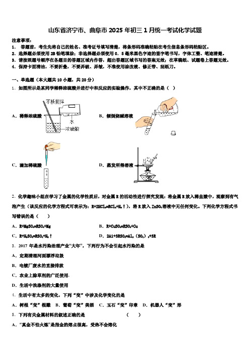 山东省济宁市、曲阜市2025年初三1月统一考试化学试题含解析