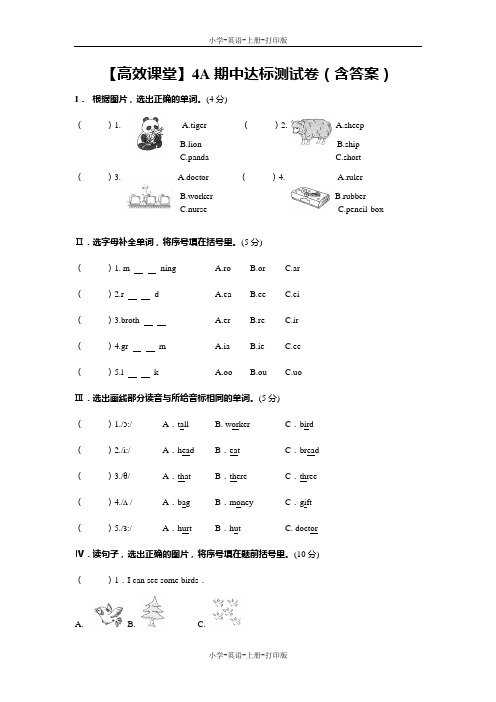 科普版-英语-四年级上册-4A期中达标测试卷(含答案)