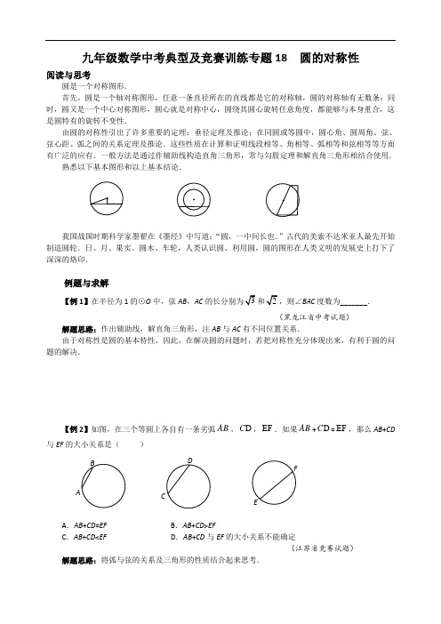 九年级数学中考典型及竞赛训练专题18 圆的对称性(附答案解析)