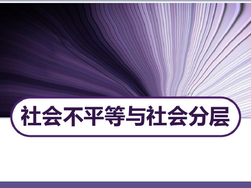 社会学概论 社会分层 PPT