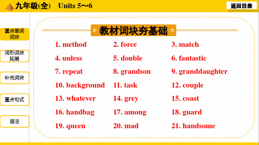 15. 部编英语一轮复习九年级(全) Units 5～6