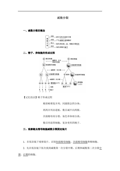 人教版生物高中必修二《减数分裂》教案