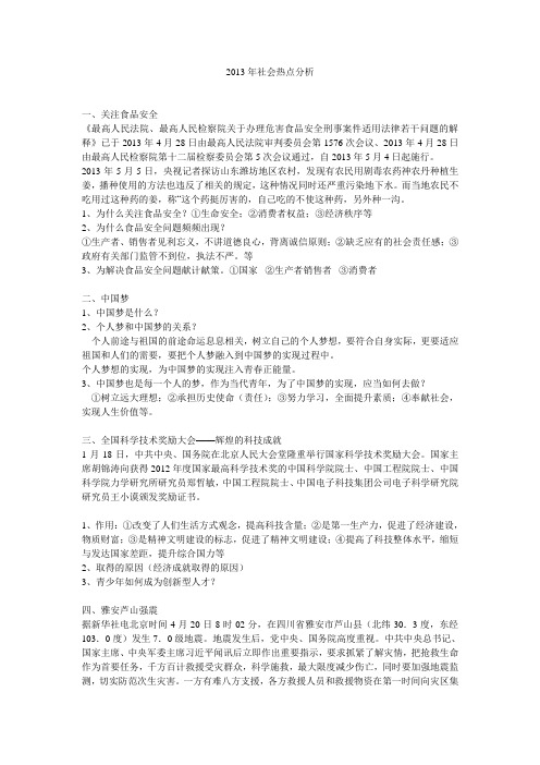 2013年社会热点分析