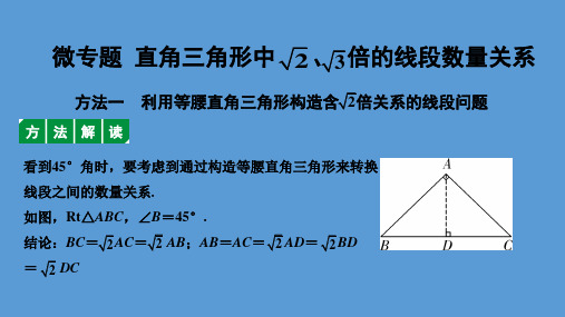 2020年中考数学考点研究《专题  直角三角形中根号二、根号三倍的线段数量关系》