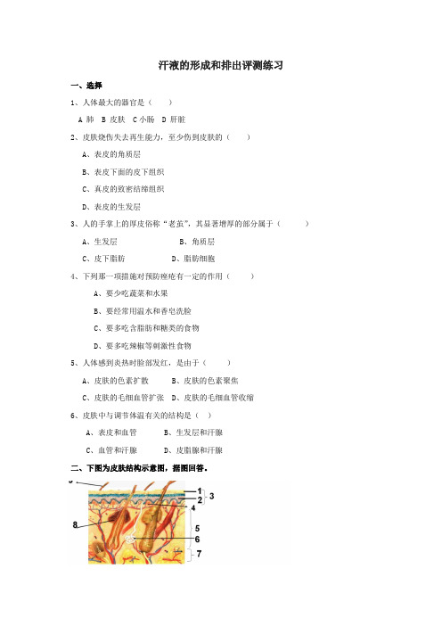 鲁科版生物七年级上 5.2汗液的形成和排出评测练习