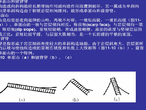 地貌学课件第十一章褶曲构造地貌