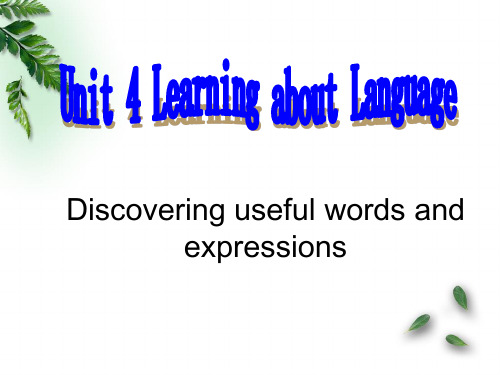 Unit 4 useful words and expressions