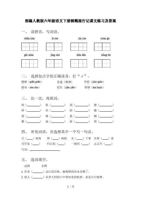 部编人教版六年级语文下册骑鹅旅行记课文练习及答案