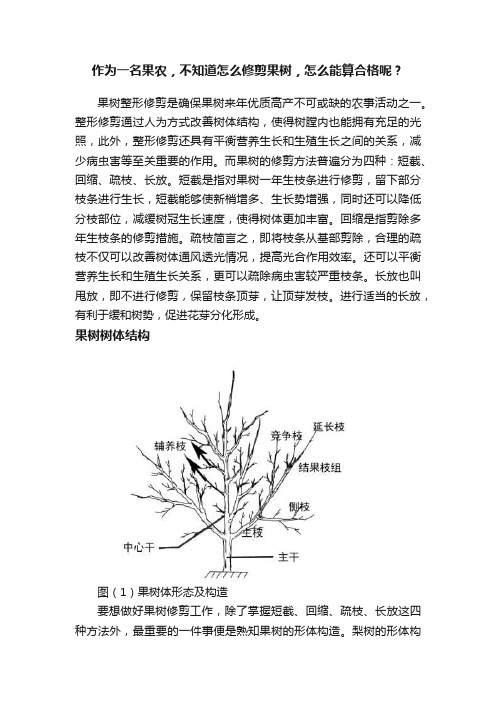 作为一名果农，不知道怎么修剪果树，怎么能算合格呢？