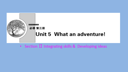 外研版 高三 英语 Unit 5  Section Ⅱ Integrating skills