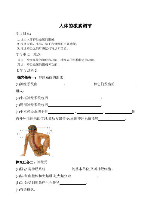 济南版生物七年级下册3.5.2神经调节的结构基础(学案)