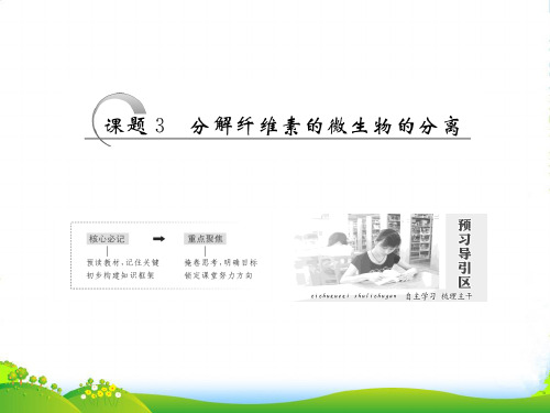 高二生物人教版选修一课件:专题2 课题3 分解纤维素的微生物的分离