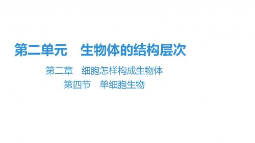 2019秋人教版七年级生物上册复习课件:第2单元 第2章 第4节 单细胞生物(共44张PPT)