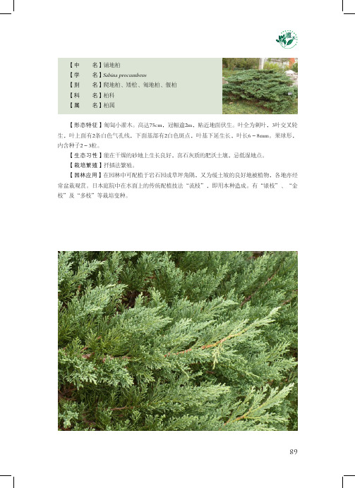 昆明园林植物绿化手册(灌木)