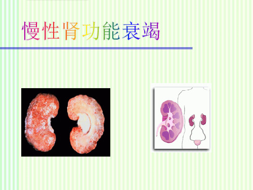 内科学慢性肾功能衰竭