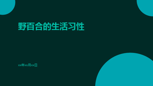 野百合的生活习性