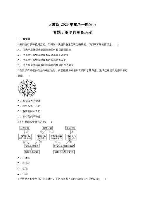 人教版2020年高考一轮复习 专题：细胞的生命历程(包含答案)含解析