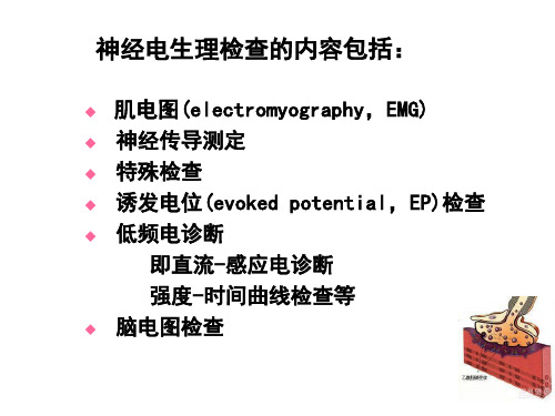 神经肌电图生理检查ppt课件