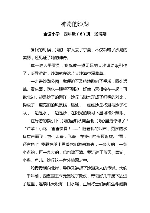 神奇的沙湖